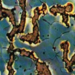 How does q345qd steel plate resist wear?
